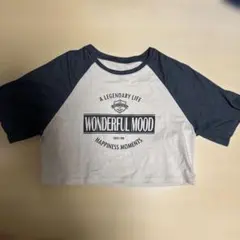 Dazy ラグラン クロップドTシャツ L