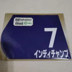 2026年最新】ミニゼッケンの人気アイテム - メルカリ