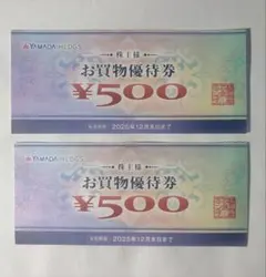 ヤマダホールディングス 株主様お買い物優待券 1000円分 [株主優待]
