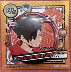 Item thumbnail for item 35865433-d472-4609-a0a7-cb7781c82c51