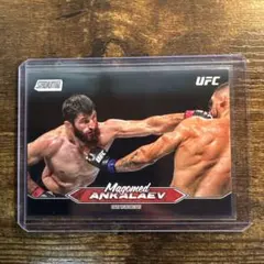 Item thumbnail for item 540bce64-0f77-44f3-a1ad-78ee9c17bb69