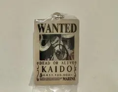 カプセルガチャ ワンピース 手配書風キーホルダー