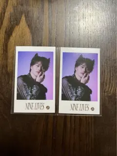 Item thumbnail for item a452a3f6-744e-4a95-8df0-1186129fec62