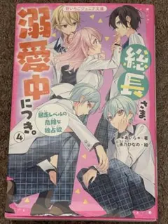 小説　総長さま、溺愛中につき。4、5、6、7巻まとめ