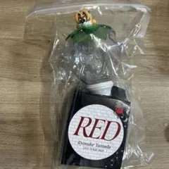 【24時間以内に発送可】山田涼介 RED ペンライト