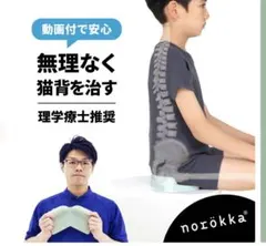 norokka ノロッカこどもの骨盤クッション姿勢矯正椅子用猫背反り腰 姿勢矯正