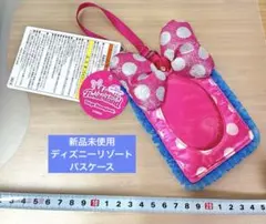 パスケース　カードケース　ディズニーリゾート　ミニーのファンダーランド　パルパル