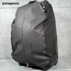 2025年最新】patagonia メンズ キャリーケースの人気アイテム