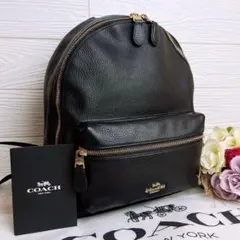60 COACH コーチ レザー リュックサック バッグパック - メルカリ