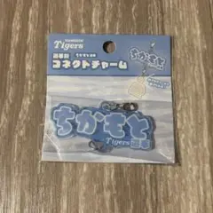 近本光司 コネクトチャーム