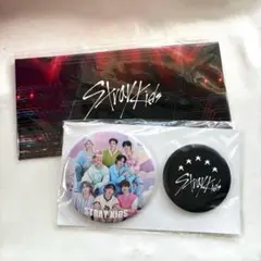 StrayKids スキズ 5STAR アプグレ 缶バッジ ピクチャーチケット