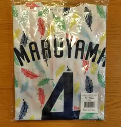 丸山和郁　ユニフォーム　レディースデイ　東京ヤクルトスワローズ