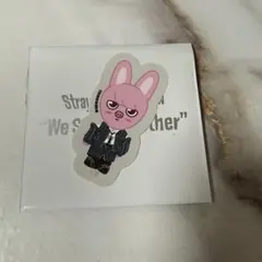 straykids チャンビン トェッキ DWAEKKI