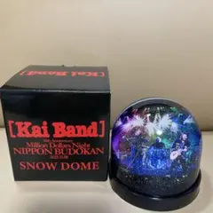 甲斐バンド ミュージシャン