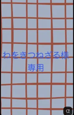 わをきつねざる様 専用　ダイヤのA