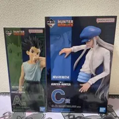 HUNTER × HUNTER キメラアント ゴン カイト フィギュア