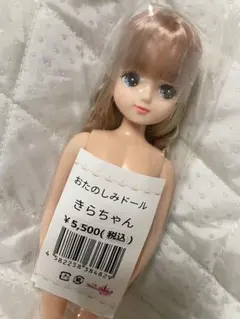 リカちゃんキャッスル BD-DX レイフ 人形本体 - メルカリ