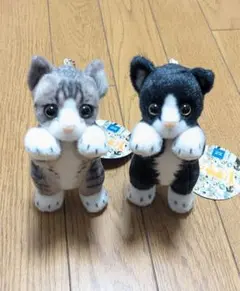 Item thumbnail for item 9d1aaf35-7bd0-4f7a-8847-821364a01b5f