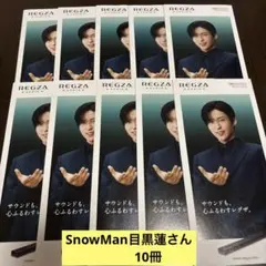 REGZA AUDIO 2025 製品カタログ 10冊セットSnowMan目黒蓮