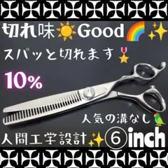 両面可スパスパ快適に切れるプロ用セニングシザー10%人気の溝無し美容 