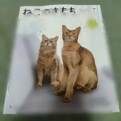 2026年最新】ねこのきもち7月号の人気アイテム - メルカリ