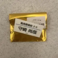 Item thumbnail for item 738072da-91c6-4531-a8e7-d79f27fae2a5