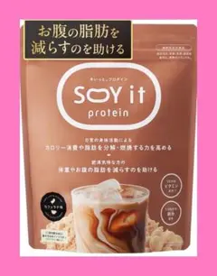 BEYOND ビヨンド ソイプロテイン ゆんころコラボ 黒糖きなこ味 800g