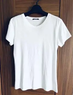 Theory 白Tシャツ
