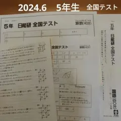 日能研 2025年度5年生 テスト一年分フルセット 2025年度日能研6年 育成テスト 公開模試 期間講習テスト 1年分 フル