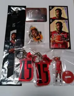 三遠ネオフェニックス 河田チリジ　プレイヤーズステッカー　ボンフィン　＃15