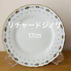 新品未使用) リチャード・ジノリ プレート&マグセット 2025年最新】Yahoo!オークション -リチャードジノリ(食器)の中古