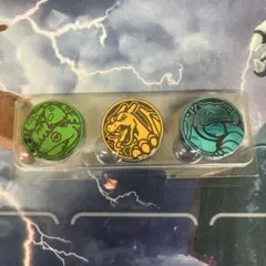 スペシャルデッキセットex フシギバナリザードンカメックス　コイン