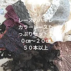 ジャンクジャーナル カラーレースたっぷりセット １０㎝～２０㎝５０本以上