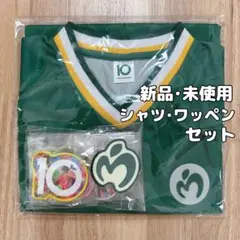 ミセス ゲームシャツ ワッペン10種付き