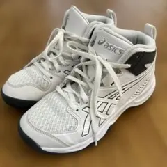 アシックス　バッシュ　ダンクショット　21cm