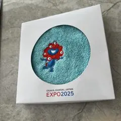 関西 大阪万博 EXPO 2025 ミャクミャク 刺繍タオル ハンドタオル 水色