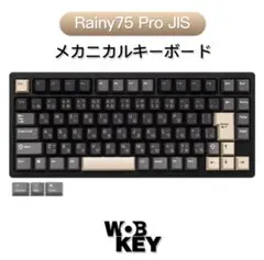 2026年最新】Rainy 75 proの人気アイテム - メルカリ
