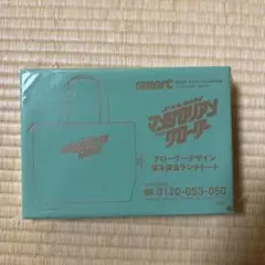 smart 10月号付録 マンダロリアン　グローグー 保冷保温ランチトート