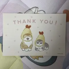 mofusandポストカード　えびにゃん