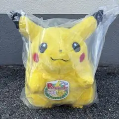 ポケットモンスター ポケモン30周年記念 おかえり！ピカチュウ1/1のサムネイル