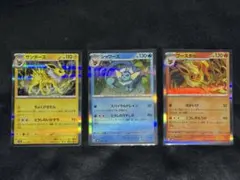 夏ポケカ 中国語版 未開封 サンダース ブースター シャワーズ ギフト