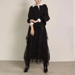 eliuu Melody Tuck Tulle Skirt ブラックのサムネイル