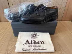 ALDEN オールデン ロングウィングチップ コードバン 9751 ブラックのサムネイル