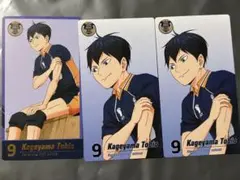 ハイキュー!!ゴミ捨て場の決戦展 チケット風カード 影山飛雄