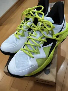 メルJ DIADORA ディアドラ テニスシューズ オールコート 楽天市場】ディアドラ テニスシューズ オールコート メンズ レディース