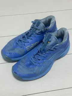ボーラホリック×asics コラボバッシュ27.5㎝ - メルカリ
