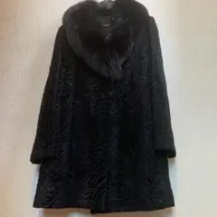 2026年最新】アストラカンの人気アイテム - メルカリ