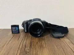 2026年最新】dmc fz2の人気アイテム - メルカリ