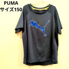 Item thumbnail for item 73b6ed71-0c0f-48e3-a1b6-8a145de70de8