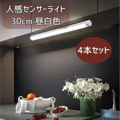 Item thumbnail for item a25ebe3f-3d5c-47dc-822a-5cbae27af161